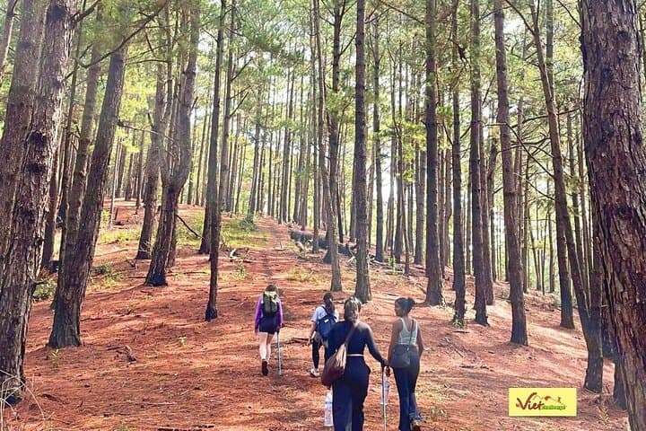 Langbiang Mountain Trek from Da Lat — 18km Hike to the Highest Peak photo 6