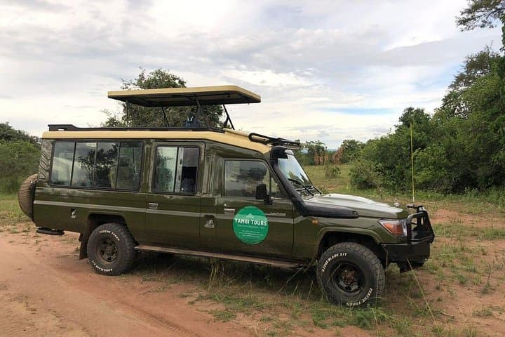 Private Day Safari in Akagera National Park: Big Five Game Drive from Kigali photo 2