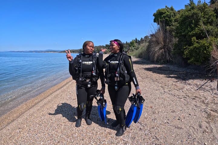 Beginner Scuba in Sithonia: Calm Bays, Colorful Reefs & Small-Group PADI Dives photo 6