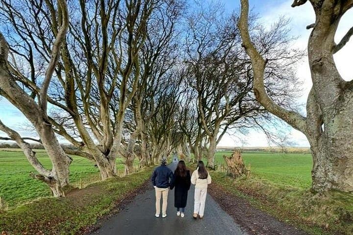 Luxury Private Tour to Giants Causeway from Belfast: Carrick-a-Rede, Dark Hedges & Dunluce photo 2