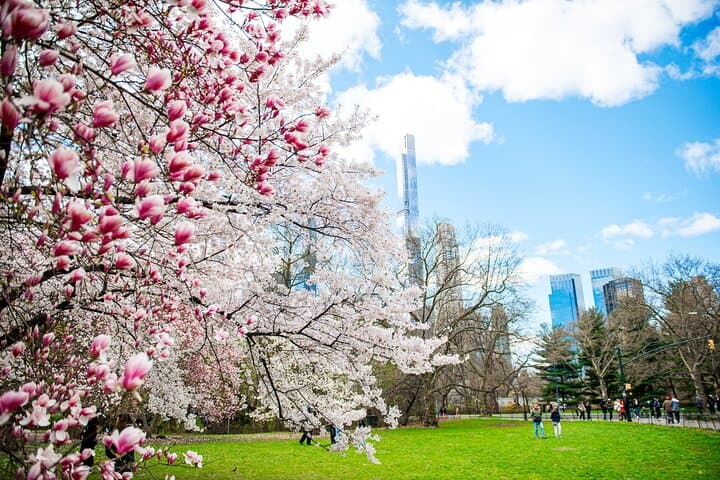Guided Walking Tour of Central Park — 2‑Hour History, Icons & Hidden Corners photo 2
