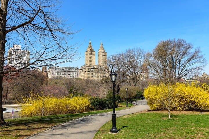 Central Park E-Scooter Rentals: Glide Through Manhattan's Urban Park photo 4