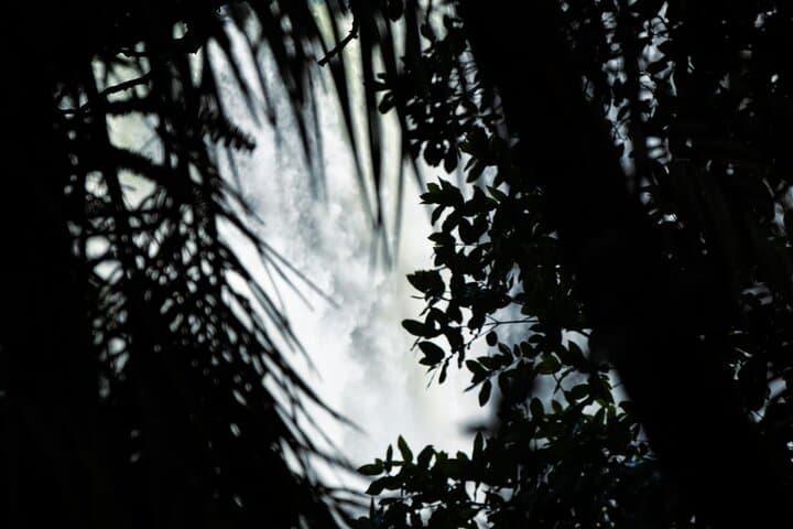 Explore Victoria Falls From Both Sides: Guided Zimbabwe & Zambia Rainforest Tour photo 6