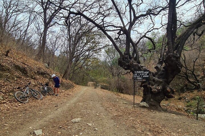 Oaxaca MTB Ride to Tule and Monkey Tree — 40km Cross-Country Loop photo 5