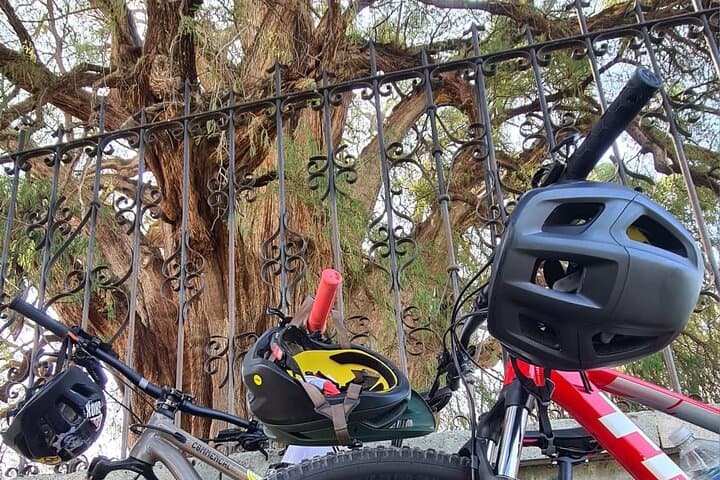Oaxaca MTB Ride to Tule and Monkey Tree — 40km Cross-Country Loop photo 6