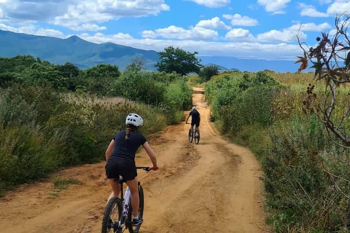 Oaxaca MTB Ride to Tule and Monkey Tree — 40km Cross-Country Loop photo 3