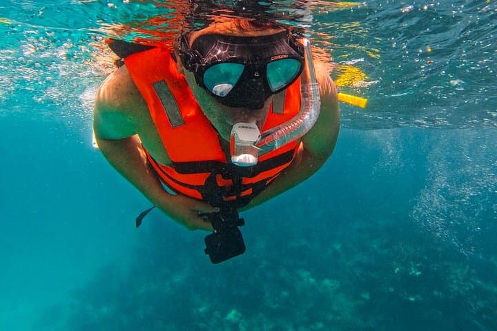 Full-Day Snorkel Tour in Tulum & Sian Ka'an: Reefs, Turtles and Biosphere Lagoon photo 3