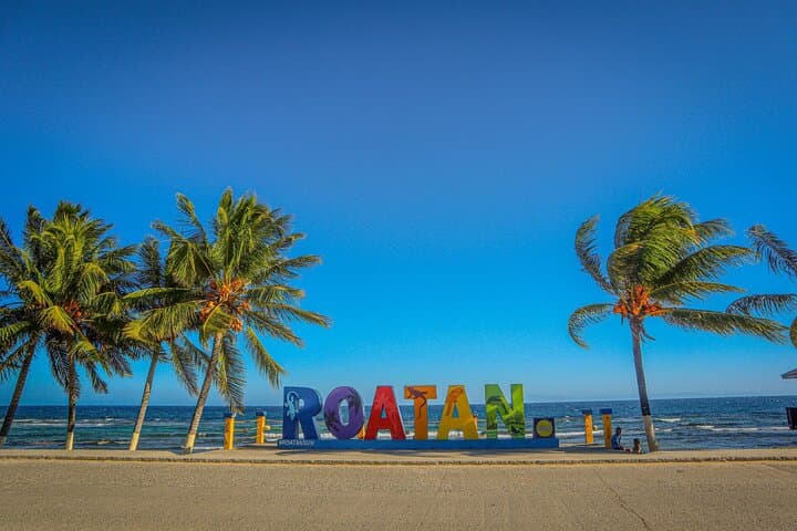 Roatán City Tour: Wildlife Encounters and West Bay Beach Escape photo 3