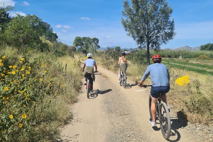 MTB to the Tule Tree: 25 km Mountain Bike Tour from Oaxaca photo 4