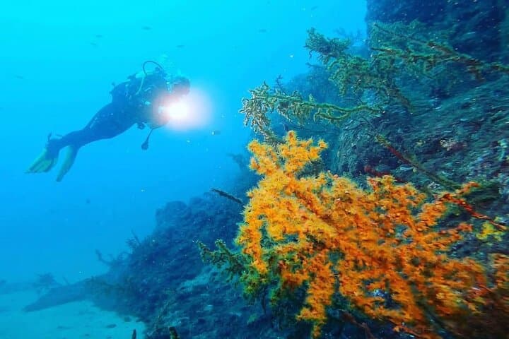 Scuba Diving in Caniçal: Ponta de São Lourenço Beginner and Guided Dives