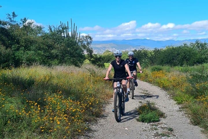MTB to the Tule Tree: 25 km Mountain Bike Tour from Oaxaca