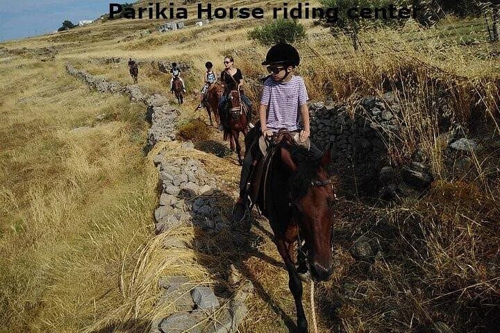 Morning Landscape Horseback Ride in Paros: Coastal Trails & Paroikia Views photo 3