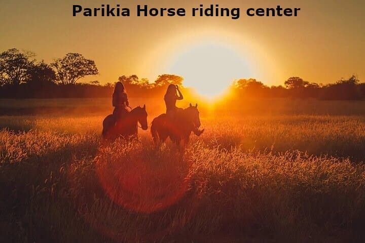 Sunset Landscape Horse Riding in Paros: Evening Equestrian Tour from Kakapetra photo 1