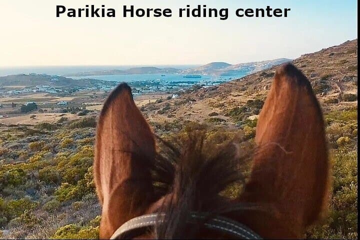 Sunset Landscape Horse Riding in Paros: Evening Equestrian Tour from Kakapetra photo 4