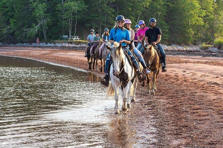 Beginner Brudenell Beach Trail Ride — 50-Minute Guided Horseback Experience Near Charlottetown photo 1
