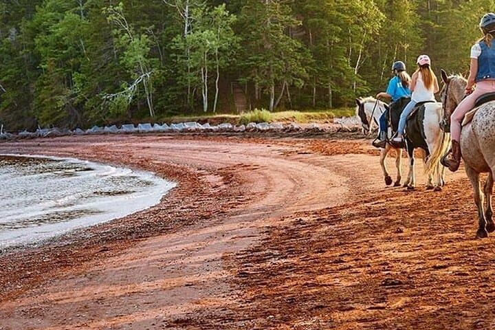 Beginner Brudenell Beach Trail Ride — 50-Minute Guided Horseback Experience Near Charlottetown photo 2