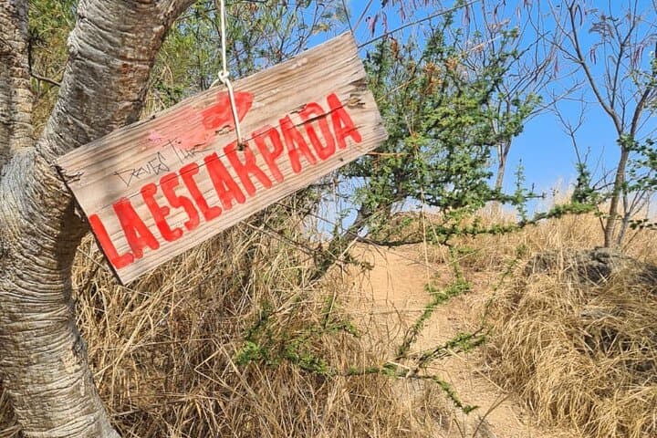MTB Enduro on Fortress Hill (El Fortín) — Black Diamond Trails Above Oaxaca photo 3