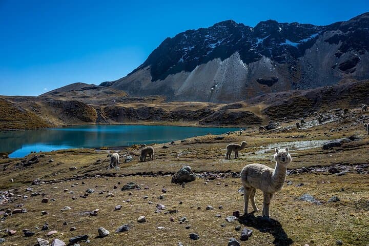 Hike to the 7 Ausangate Lagoons — Day Tour from Cusco