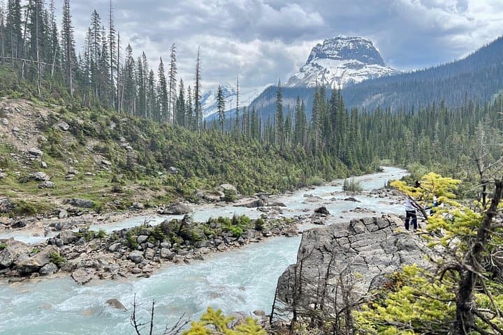Discover Yoho National Park: Takakkaw Falls, Emerald Lake, and Natural Bridge Tour photo 3
