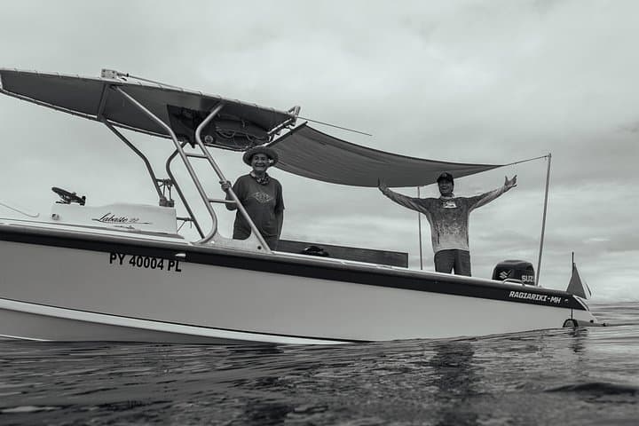 Private Half-Day Humpback Whale Watching in Tahiti (Small-Group, Snorkel Included) photo 2