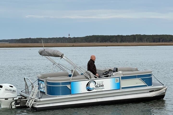 Chincoteague Wildlife Boat Tour: Ponies, Dolphins & Coastal Birdwatching photo 3