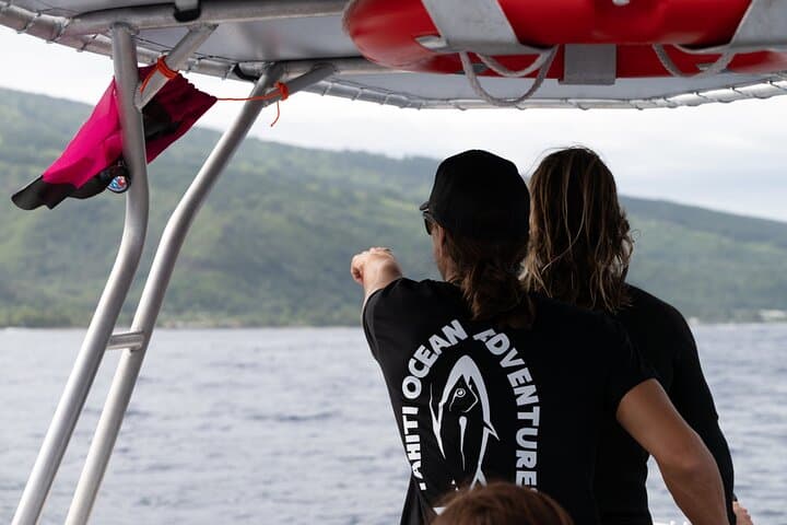 Private Half-Day Humpback Whale Watching in Tahiti (Small-Group, Snorkel Included) photo 4