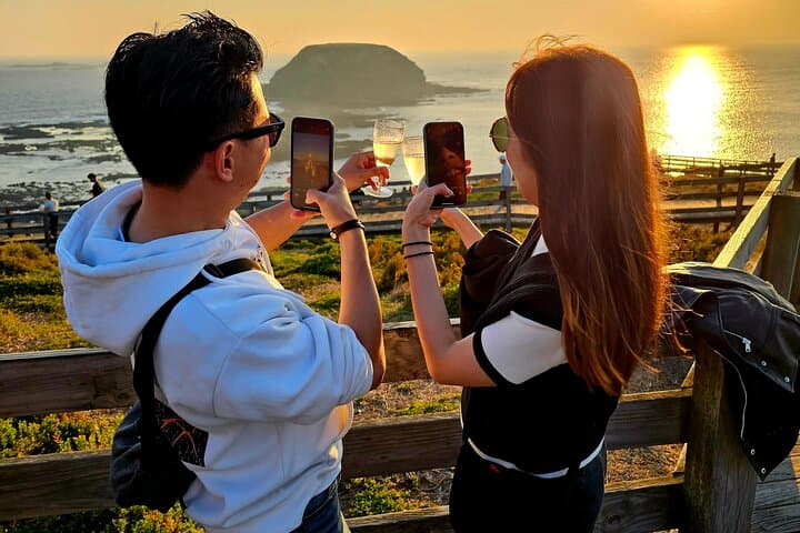 Phillip Island Penguin Parade: Full-Day Wine, Wildlife & Coastal Discovery from Melbourne photo 2
