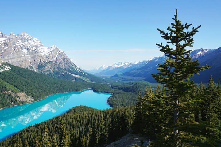 Banff & Lake Louise Day Tour: Moraine, Emerald, Peyto & Bow Lakes