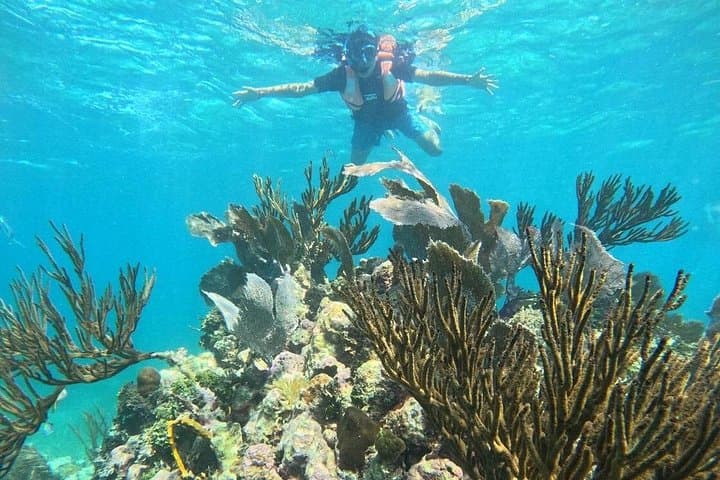 Costa Maya Guided Snorkel Tour: Explore the Mesoamerican Reef near Mahahual photo 4