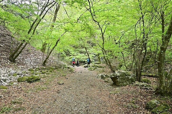 Mt. Mitake Hiking Adventure: Rock Garden, Mitake Shrine & Cable Car Day Trip from Tokyo