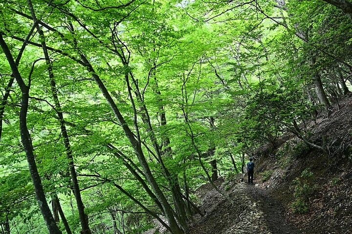 Mt. Mitake Hiking Adventure: Rock Garden, Mitake Shrine & Cable Car Day Trip from Tokyo photo 2
