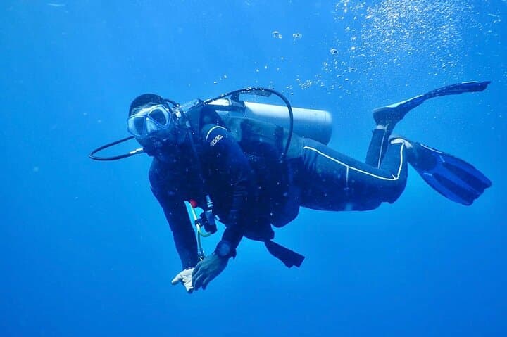 Ethical Dolphin Watching & Snorkeling in Wasini — Full-Day Marine Safari from Diani photo 4