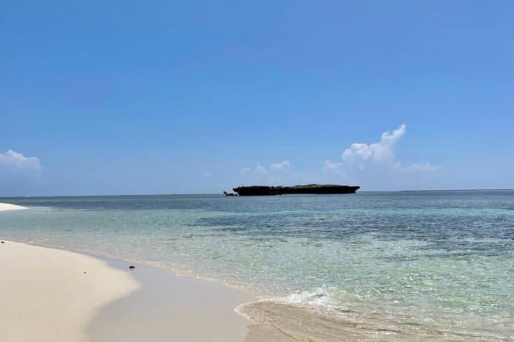 Ethical Dolphin Watching & Snorkeling in Wasini — Full-Day Marine Safari from Diani photo 5