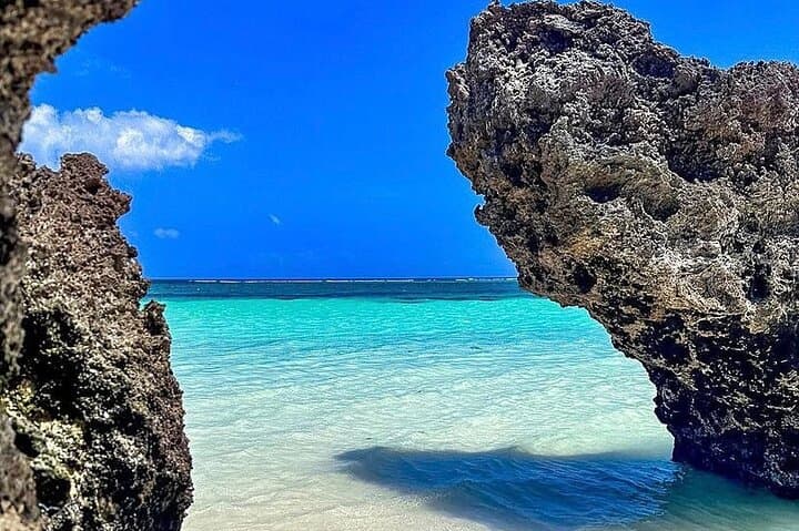 Ethical Dolphin Watching & Snorkeling in Wasini — Full-Day Marine Safari from Diani photo 6