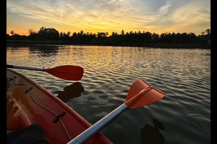 Kayak Negombo Lagoon: Rentals & Guided Paddles for Birding and Sunsets photo 2