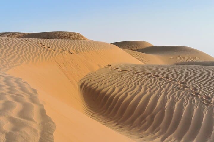 Exploring the Rub al Khali: A Full-Day Sunset Safari Into Arabia’s Empty Quarter photo 5