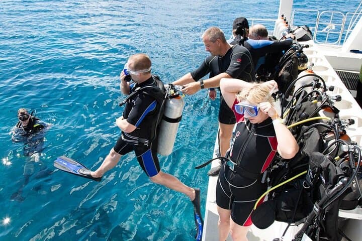 Fethiye Scuba Diving: Two-Tank Boat Dives with Lunch and Transfer photo 4