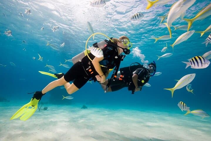 Fethiye Scuba Diving: Two-Tank Boat Dives with Lunch and Transfer photo 6