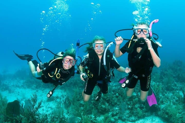 Fethiye Scuba Diving: Two-Tank Boat Dives with Lunch and Transfer photo 2