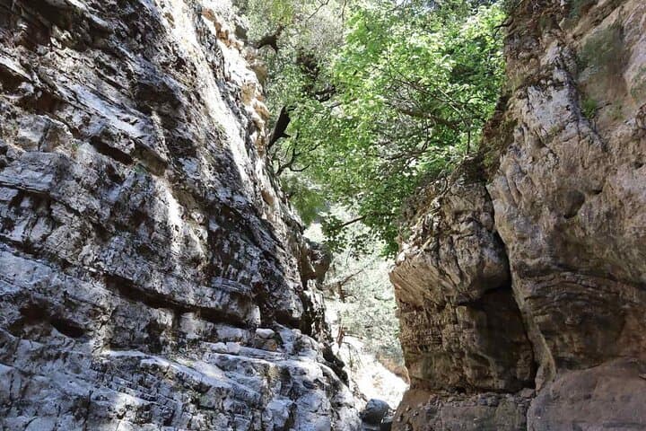 Imbros Gorge Private Guided Hike and Frangokastelo Swim — Full-Day Crete Adventure photo 6