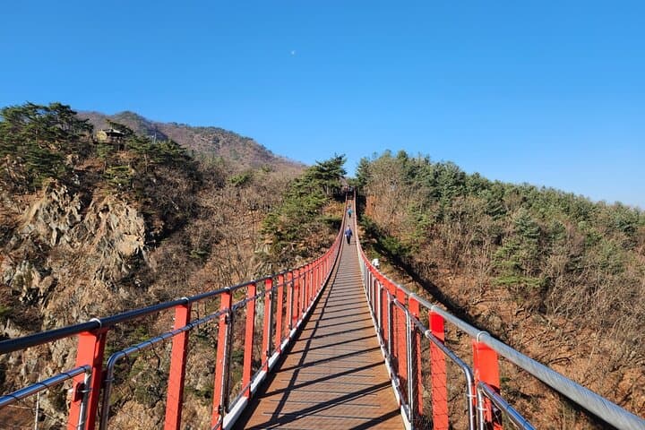 DMZ Third Tunnel Tour from Seoul — Imjingak, Dora Observatory & Red Bridge photo 4
