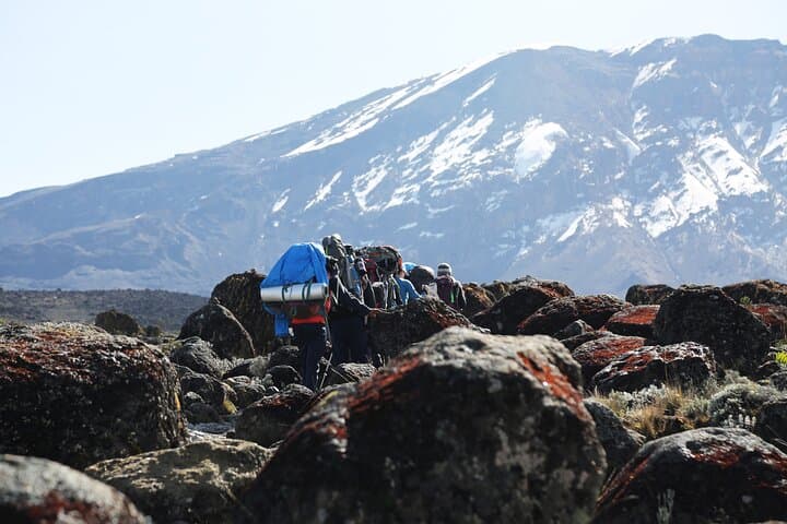 6-Day Kilimanjaro Machame Route: Plan the Scenic Ascent to Uhuru Peak photo 3