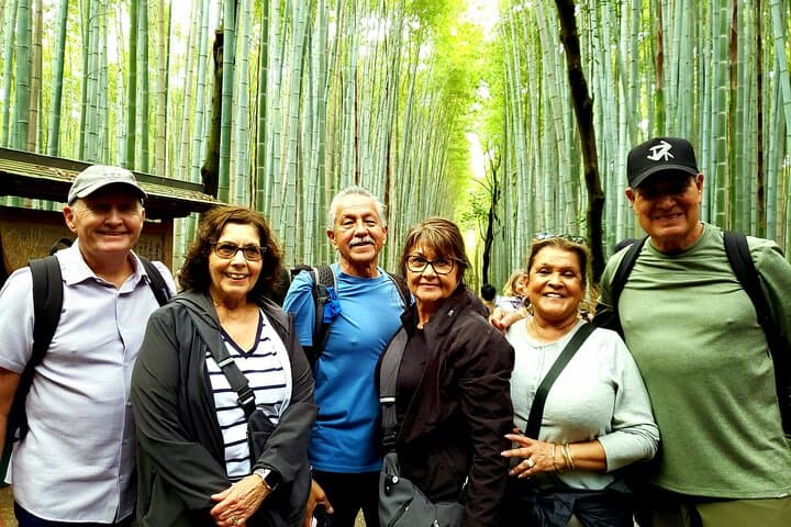 Arashiyama Monkey Park & Bamboo Grove: 4-Hour Guided Tour from Kyoto