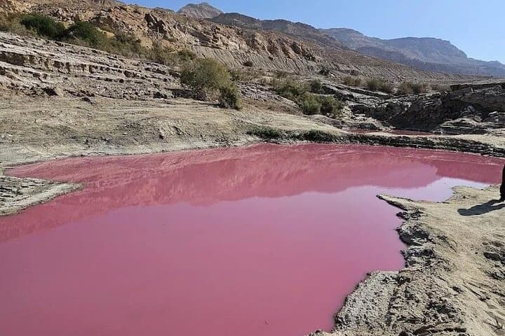 Dead Sea Salt Beach & Pink Lake Private Tour from Amman — Float, Mud and Photo Stops photo 3