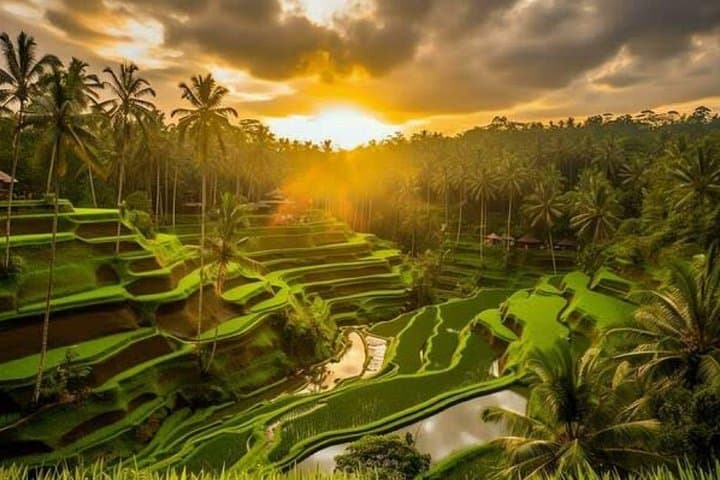 Ubud Waterfalls and Tegalalang Rice Terrace Day Tour: Waterfalls, Coffee & Lunch photo 2