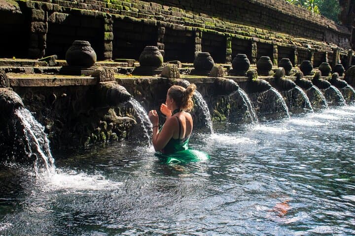 Tirta Empul Spiritual Cleansing, Ulu Petanu Waterfall & Tegalalang Rice Terraces Day Tour