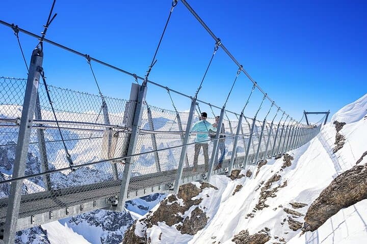 Basel to Mount Titlis & Lucerne Private Day Trip — Rotair, Cliff Walk & Glacier Cave