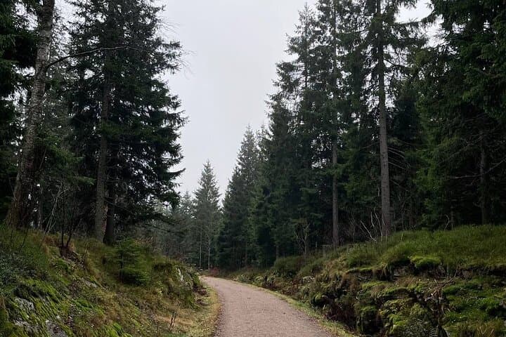 Holmenkollen Forest Walk: Nordic Legends & Traditional Norwegian Tastes photo 5