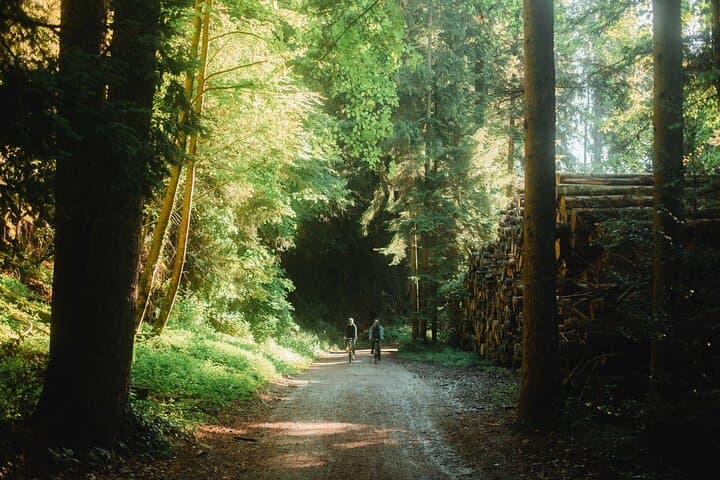 Interlaken E‑Bike Tour: Rivers, Lakes, Forests and Medieval Castles photo 3
