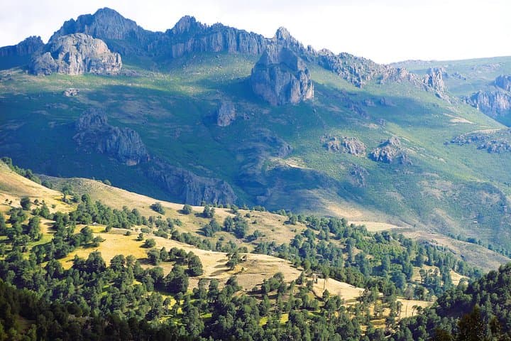3-Day Bale Mountains Tour from Addis Ababa — Sanetti Plateau & Ethiopian Wolf photo 5